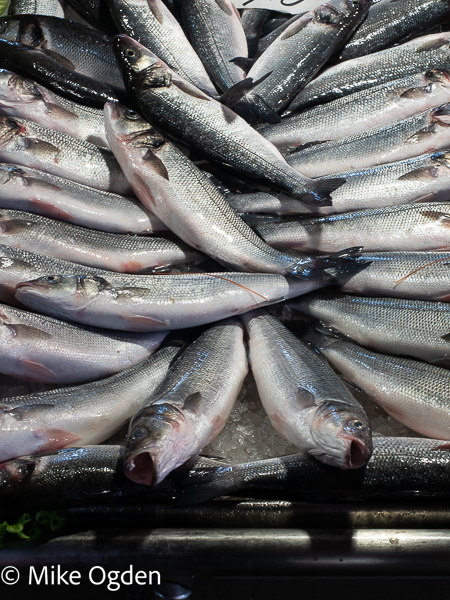 Fish Rialto Market - Venice