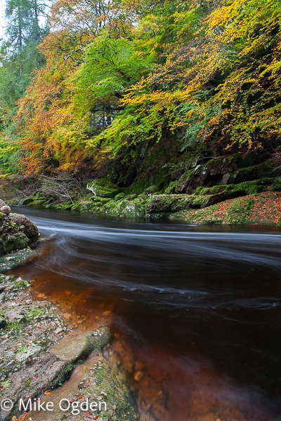 River North Esk at Grannochy, Autumn Colour 11 - Glen Esk