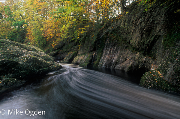 River North Esk at Grannochy, Autumn Colour 13 - Glen Esk