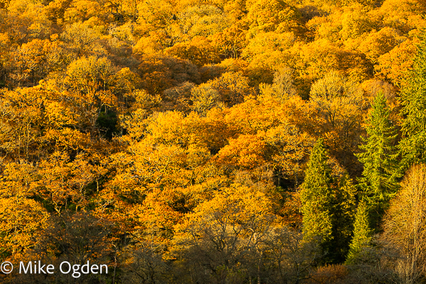 Autumn Colour, Loch Ard, 2 - The Trossachs