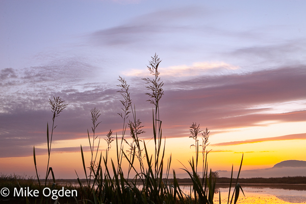 Dawn over the Tay - River Tay