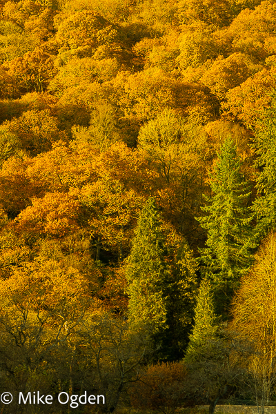 Autumn Colour, Loch Ard, 1 - The Trossachs