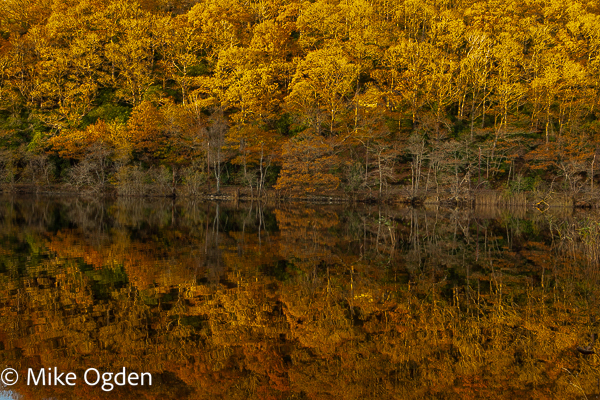 Loch Ard Autumn Refections, 2 - The Trossachs