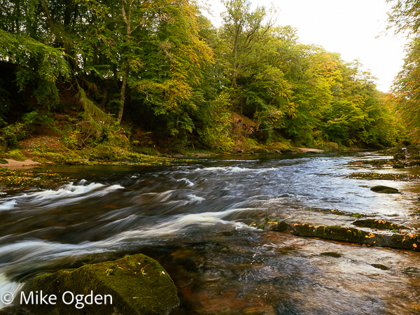 River North Esk at Grannochy, Autumn Colour 18 - Glen Esk