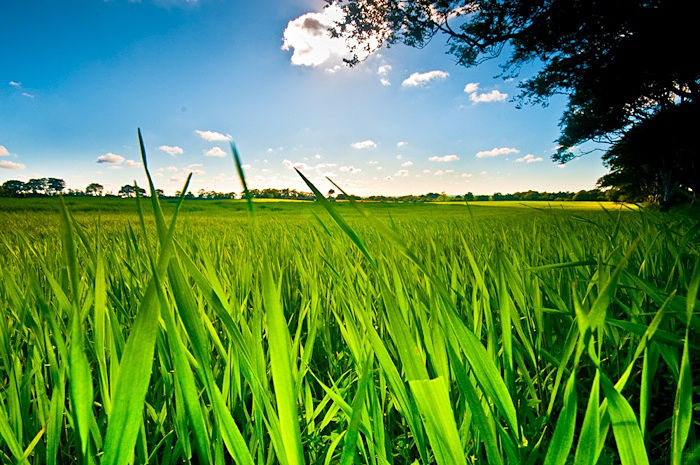  - Landscapes