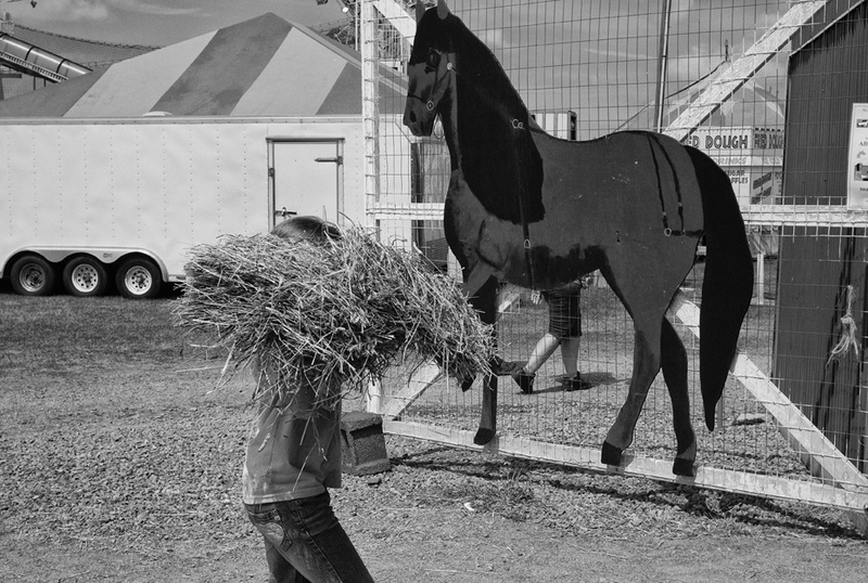  - NYS Fair Association - Upstate Agricultural Counties 2010-2014