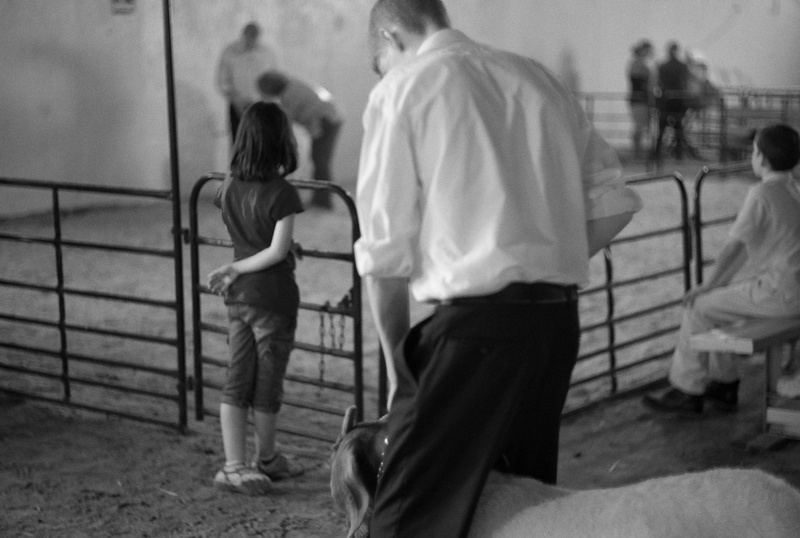  - NYS Fair Association - Upstate Agricultural Counties 2010-2014