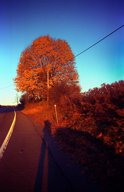  - Color film