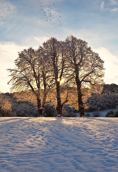 The three Amigo's - Inland Scotland