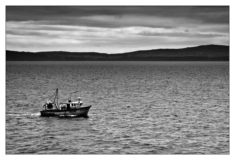 Homeward bound - Monochrome Images