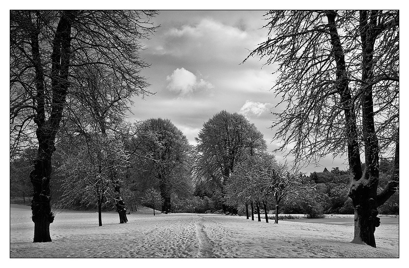 The Walk Home - Monochrome Images