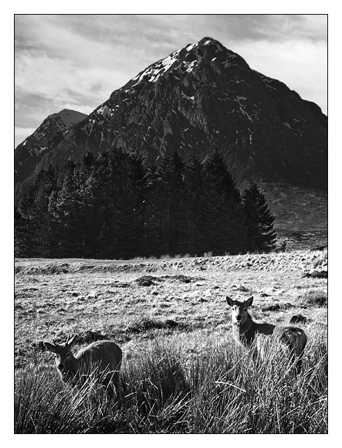 Approaching Glen Coe - Monochrome Images