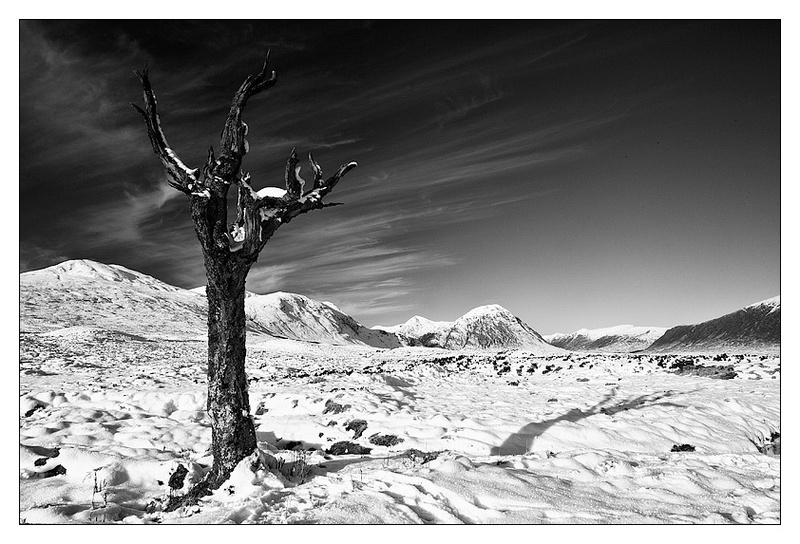  - Monochrome Images