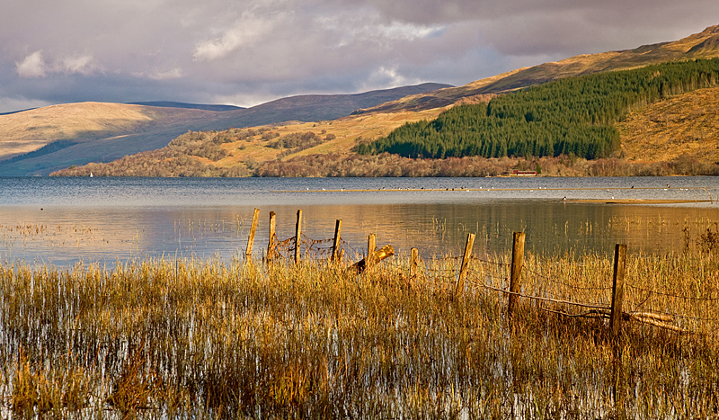 The West waters of Loch Tay - Latest Additions
