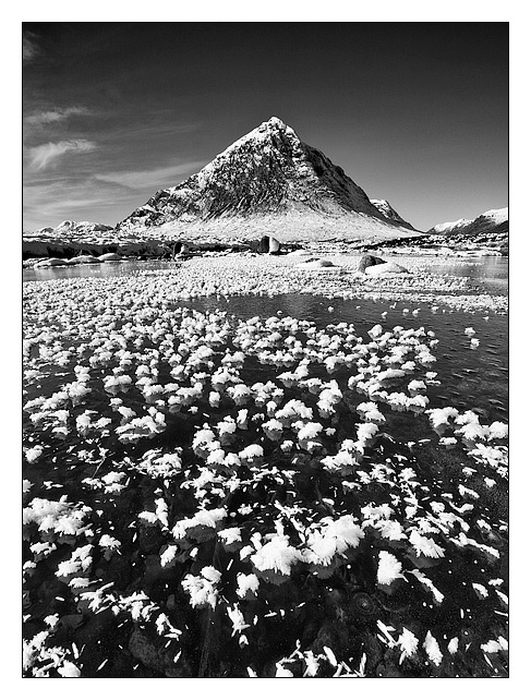 Feathers - Monochrome Images