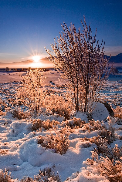 Winter Illuminations - Rannoch Moor - Inland Scotland