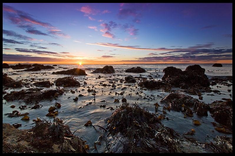 Sauchar Point Sunrise - Fife - Coastal Scotland