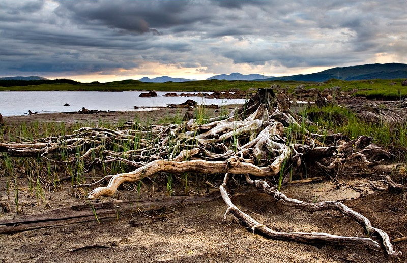 Nature's Ruins - Loch Eigheach - Inland Scotland