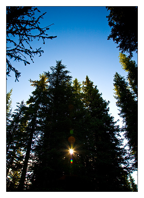 Jasper National Park - North America