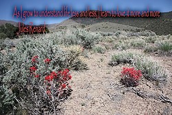 Inspirational portfolio