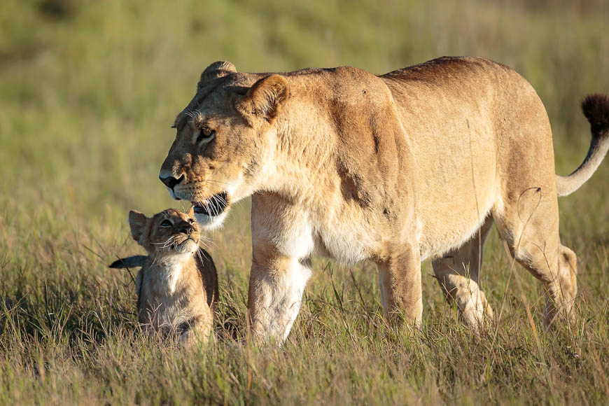 Photo Safari To Botswana's Okavango Delta With Edward Selfe