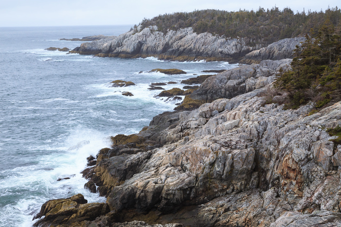 Guide to Hiking and Camping Isle Au Haut Acadia National Park