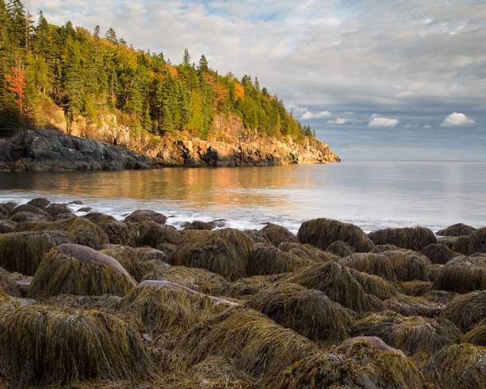 Fall Foliage 2018 Acadia National Park Day 1