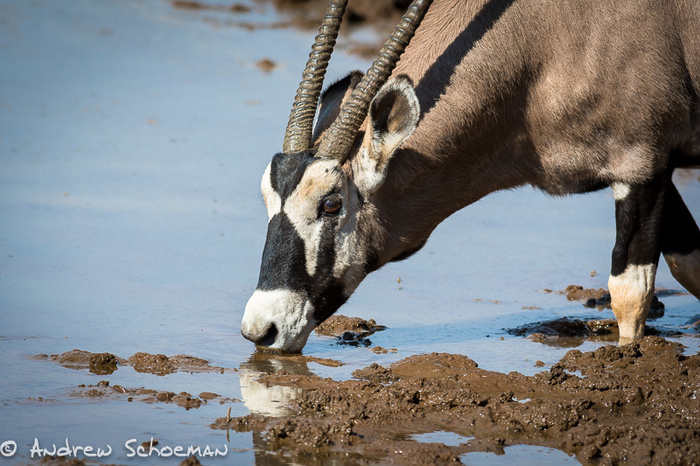 Mokala National Park