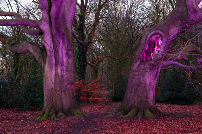 magical tree minecraft magical tree minecraft