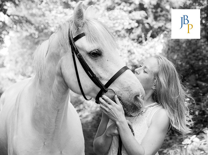 Greatest Christmas Present for any Horse Lover!