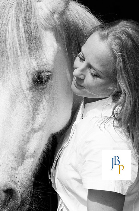 Greatest Christmas Present for any Horse Lover!
