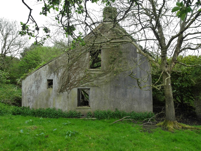 Ceredigion farmhouses & other welsh ruins