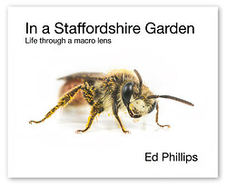 In a Staffordshire Garden