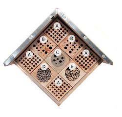 Bee Hotel Update