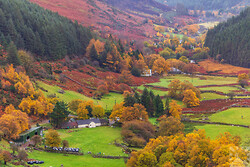 Autumn, Oh Glorious Autumn!
