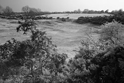 Rushmere Heath in IR