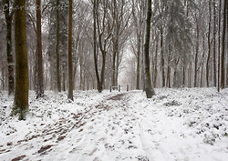 The week winter arrived in Kent