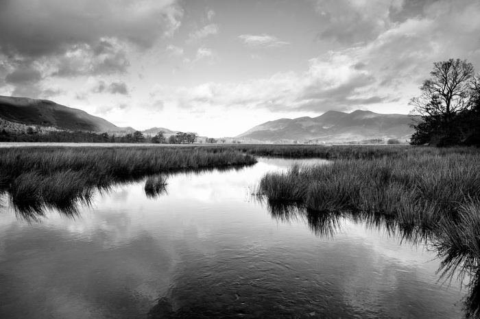 Some Basic Considerations Before Pressing The Shutter