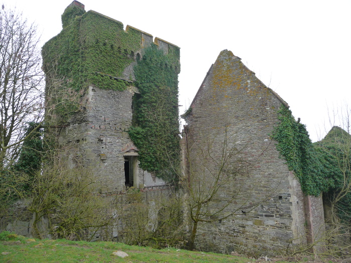 Colour Images of Mansions in South Wales